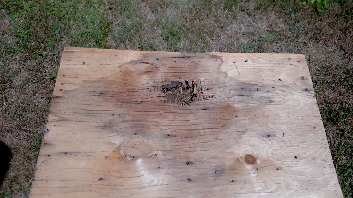 Roof plywood sheathing rotted completely through around a fastener hole, with the surrounding wood delaminated and splintered